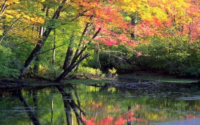 Get Outside For Labor Day