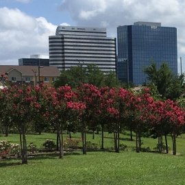 Westchase profile image